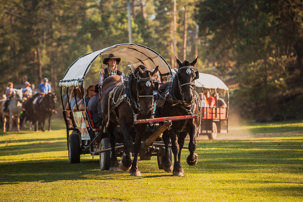 Christmas On The Trail Chuckwagon Dinner Show 2022 Horseback Riding & Wagon Dinner Show Near Mt. Rushmore | All Aboard For The Chuckwagon  Dinner Show!