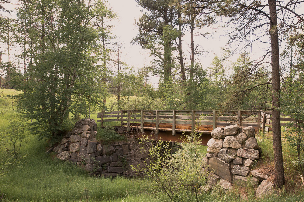 fort custer mountain biking