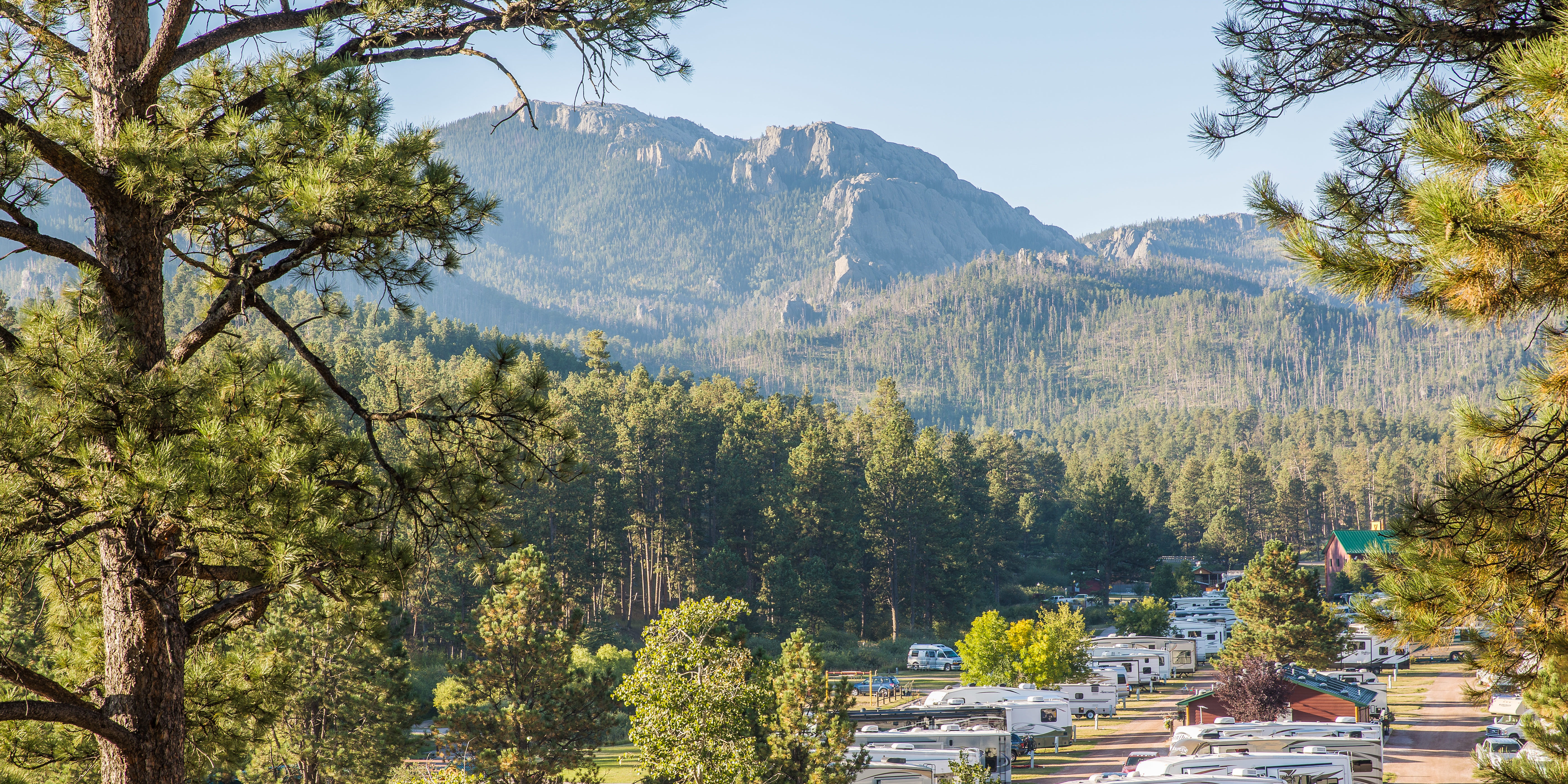 Palmer gulch clearance koa