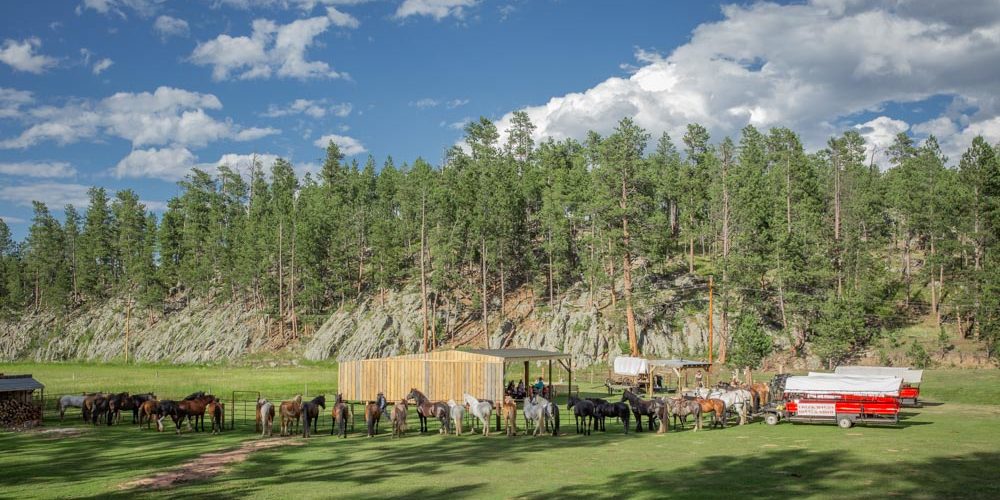 92080467_3392843537411751_4163851397676138496_o