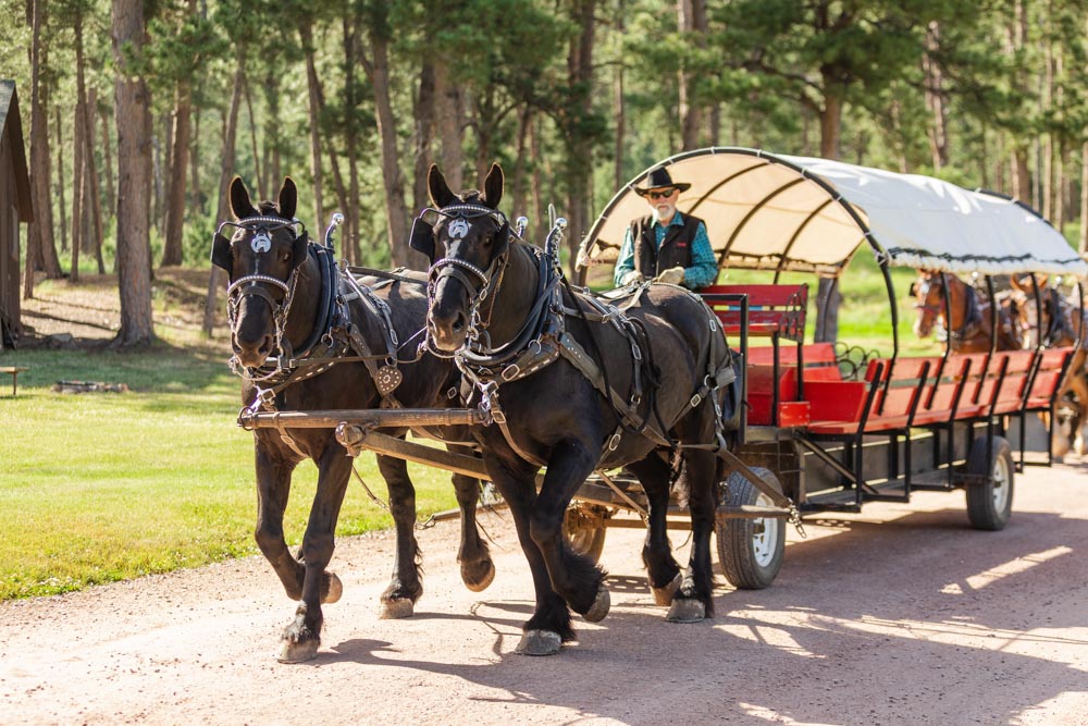 Horseback Riding & Wagon Dinner Show near Mt. Rushmore