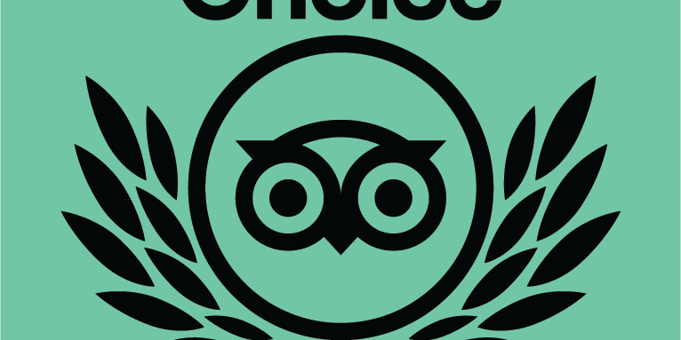 TC_2020_BOTB_L_GREEN_BG_CMYK
