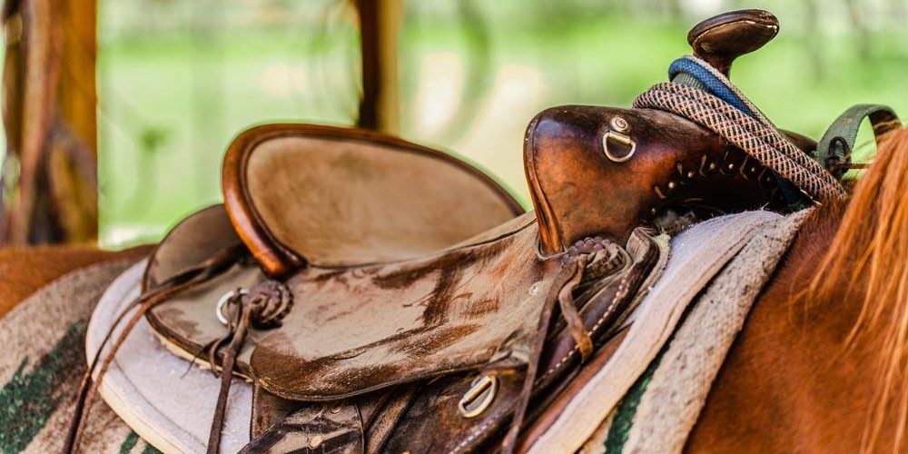 116860892_3727857497243685_2019789800851971670_o