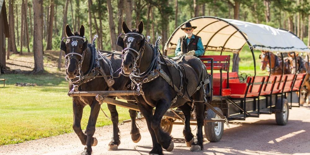 122708451_3996284010401031_1591417716715791213_o