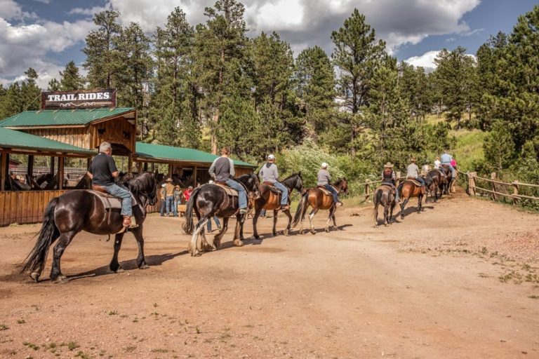 Horseback Riding & Dinner Show at Mt. Rushmore |Choose Your Trail!