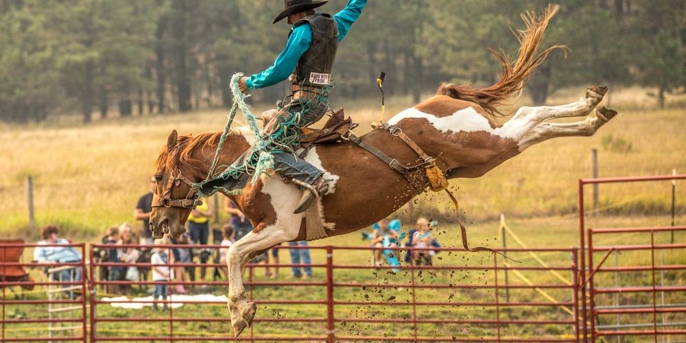 September_3_2017_Rodeo-227