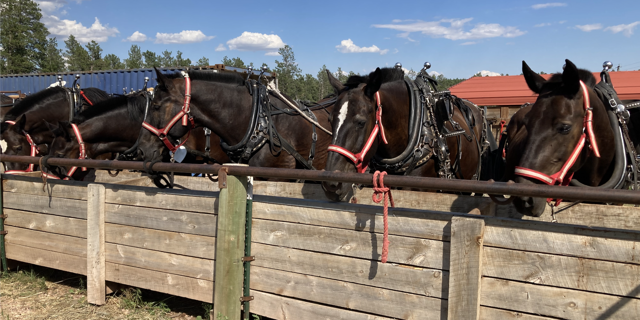 Screenshot 2023-02-25 at 5.11.27 PM