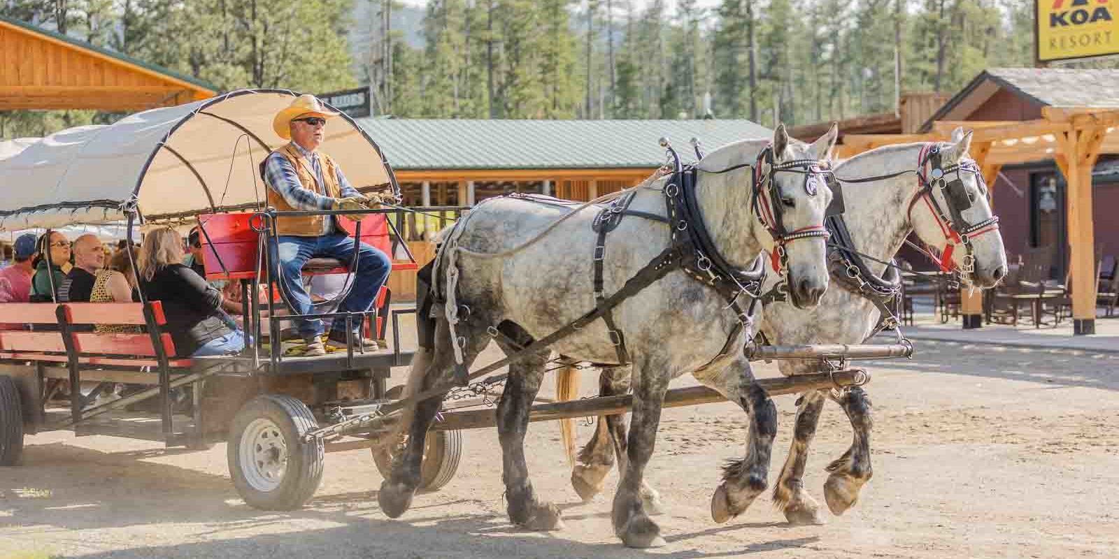 Horseback Riding & Wagon Dinner Show near Mt. Rushmore Chuckwagon