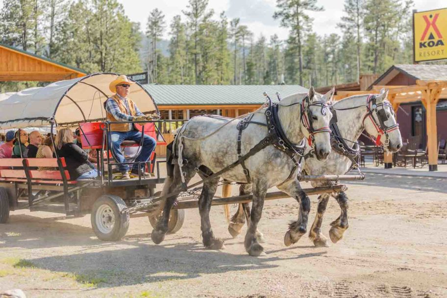 3rd Time's the Charm—Trail Riding and Family Day Weekend Cookout