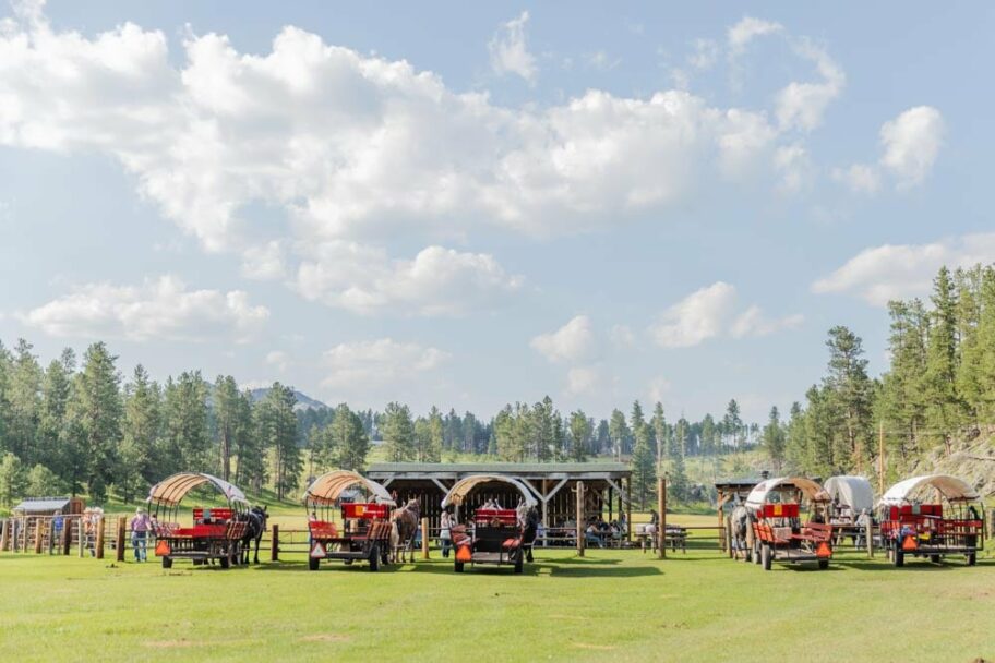 3rd Time's the Charm—Trail Riding and Family Day Weekend Cookout